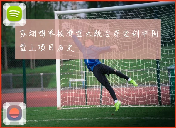 苏翊鸣单板滑雪大跳台夺金创中国雪上项目历史