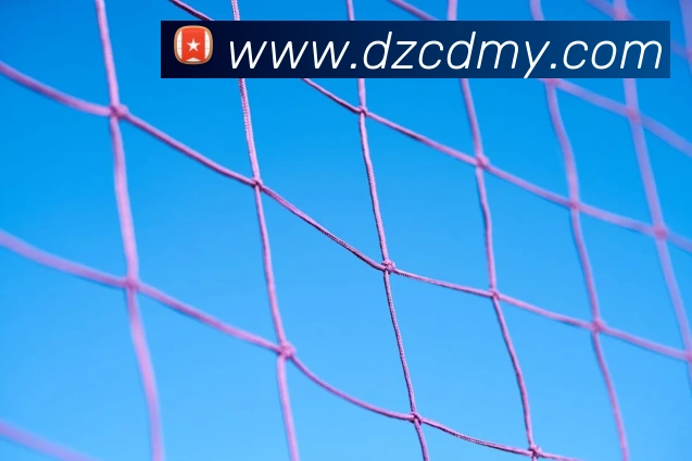 巅峰国际app注册入口官网平台生态图